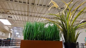 Faux grass decoration at Goodwill