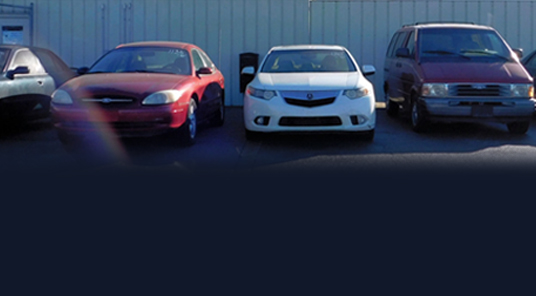Goodwill cars lineup