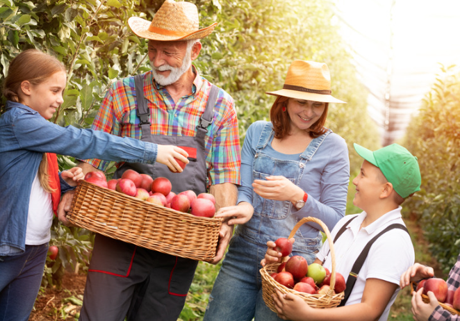 Family in farming clothing holding baskets of apples