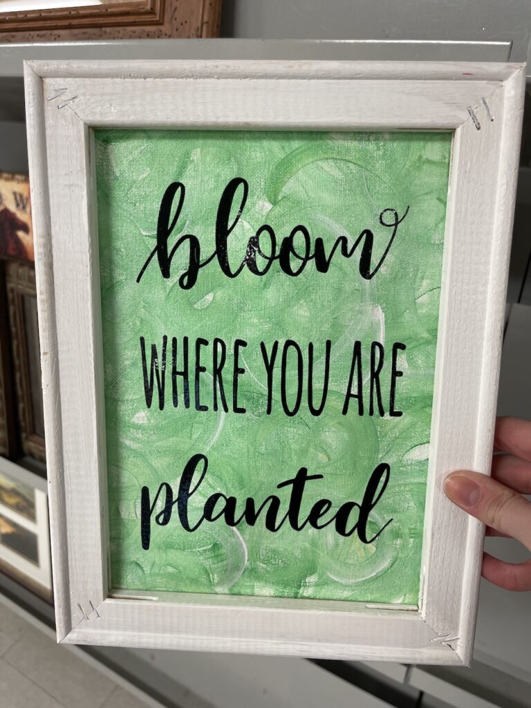 Green picture with "Bloom where are you planted."