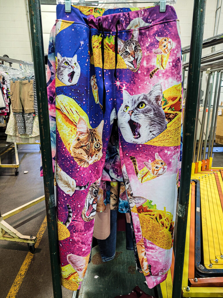 Cat Leggings from Goodwill