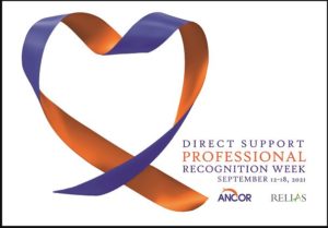 Logo for DSP Recognition Week
