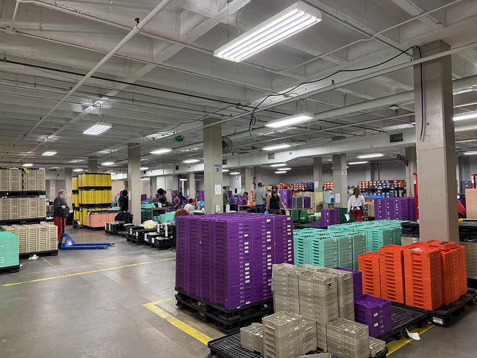 Warehouse workers organizing colorful plastic crates on pallets
