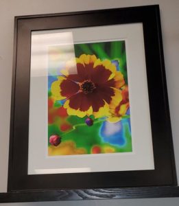 Painting of flowers at Goodwill