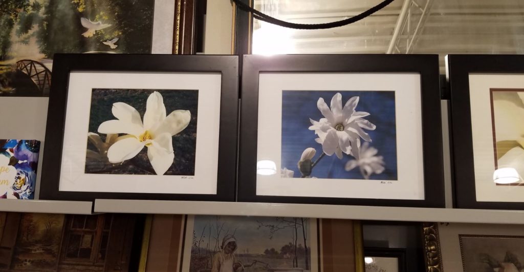 Two Picture frames displayed on a shelf