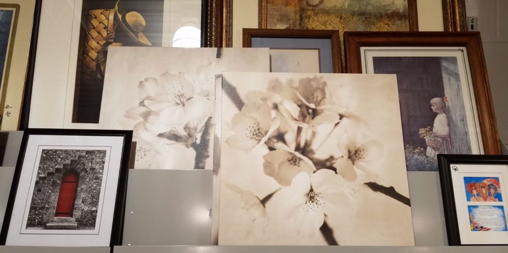 Photo frames on display on a shelf